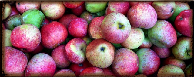 Finnriver apples resized