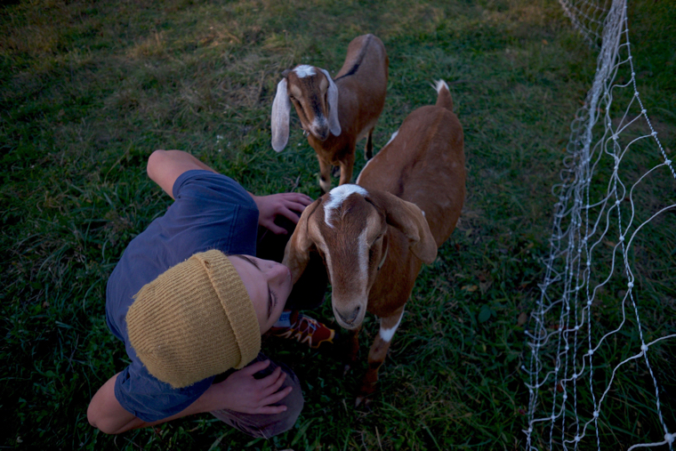 will-and-goats-re-size